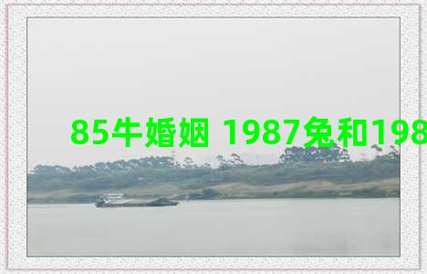 85牛婚姻 1987兔和1985牛婚姻